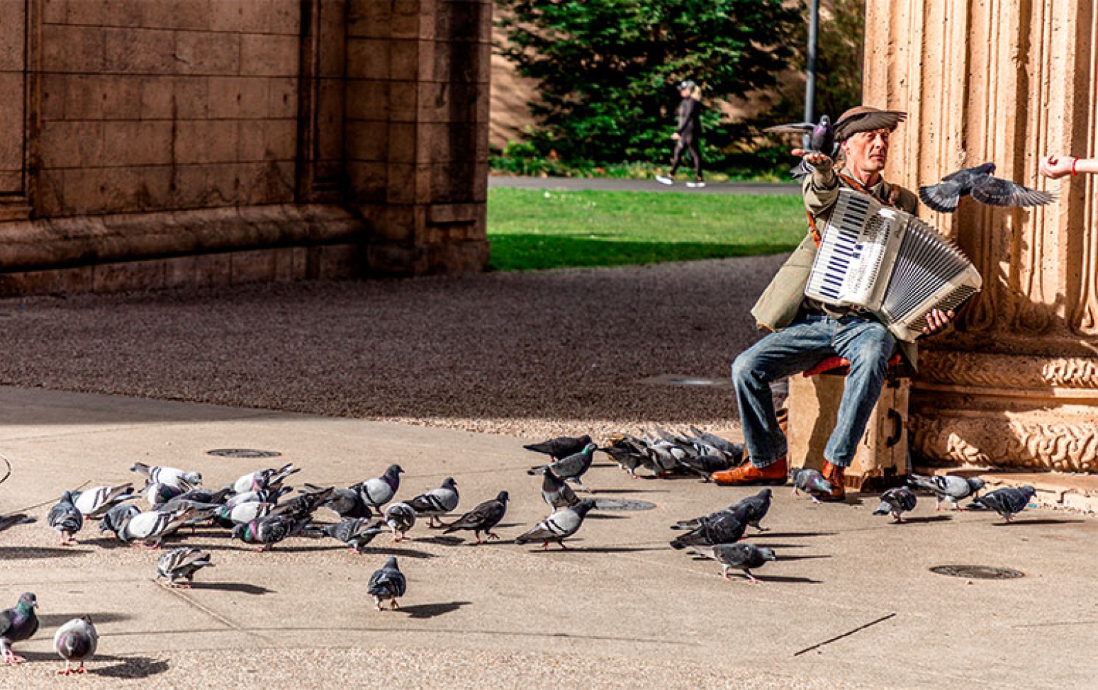 Des oiseaux et des hommes